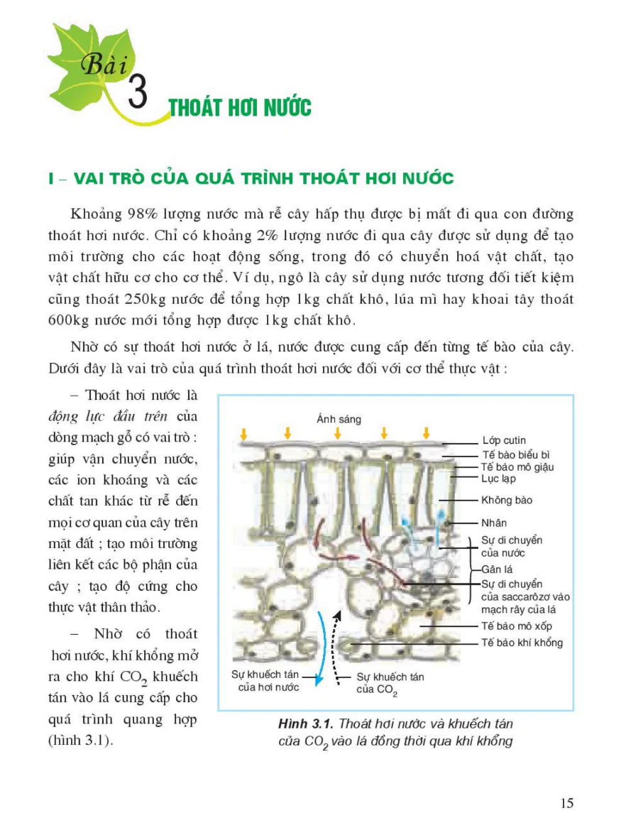 Bài 3: Thoát Hơi Nước