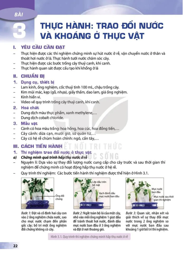 Bài 3: Thực hành: Trao đổi nước và khoáng ở thực vật