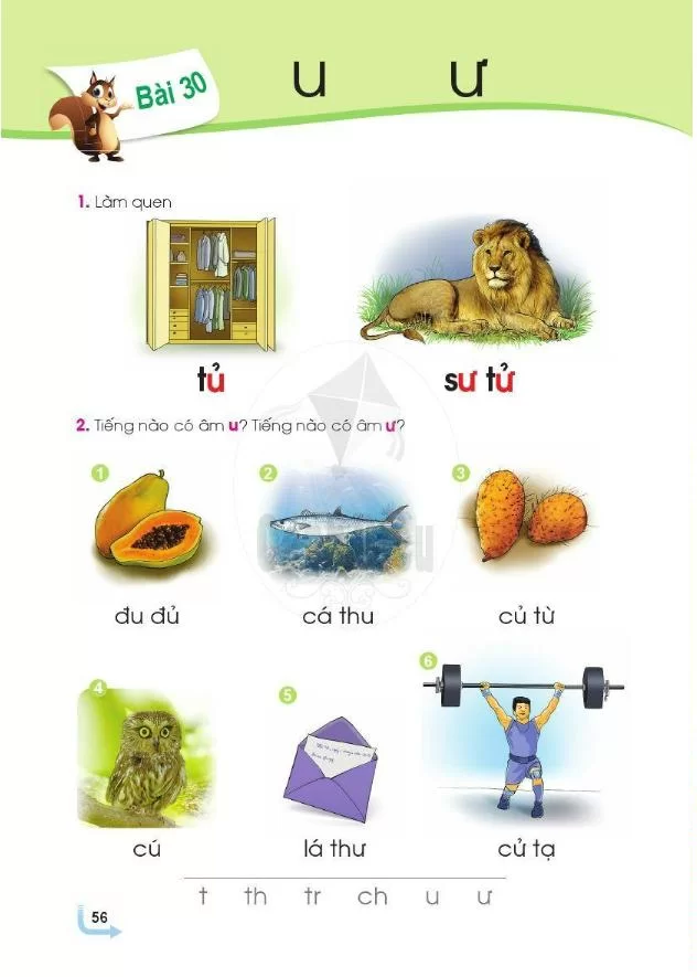 Bài 30: Chữ u ư