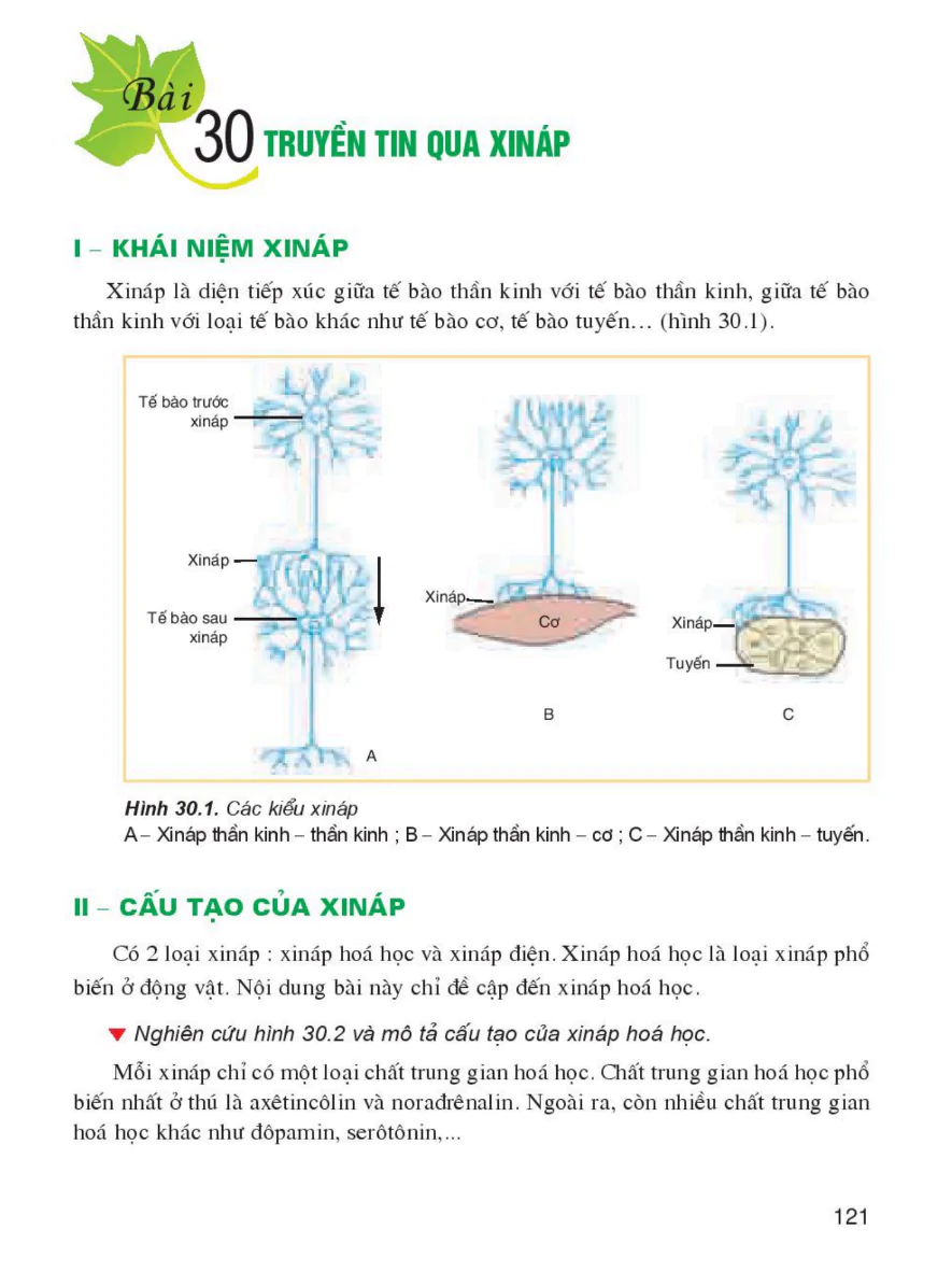 Bài 30: Truyền Tin Qua Xinap
