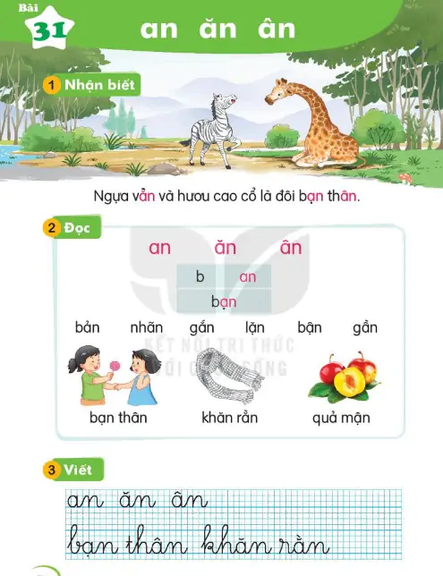 Bài 31: an ăn ân