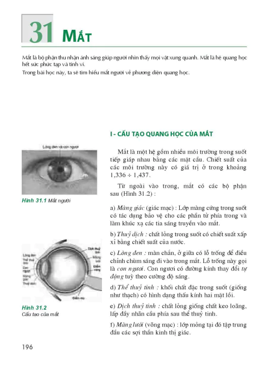 Bài 31: Mắt