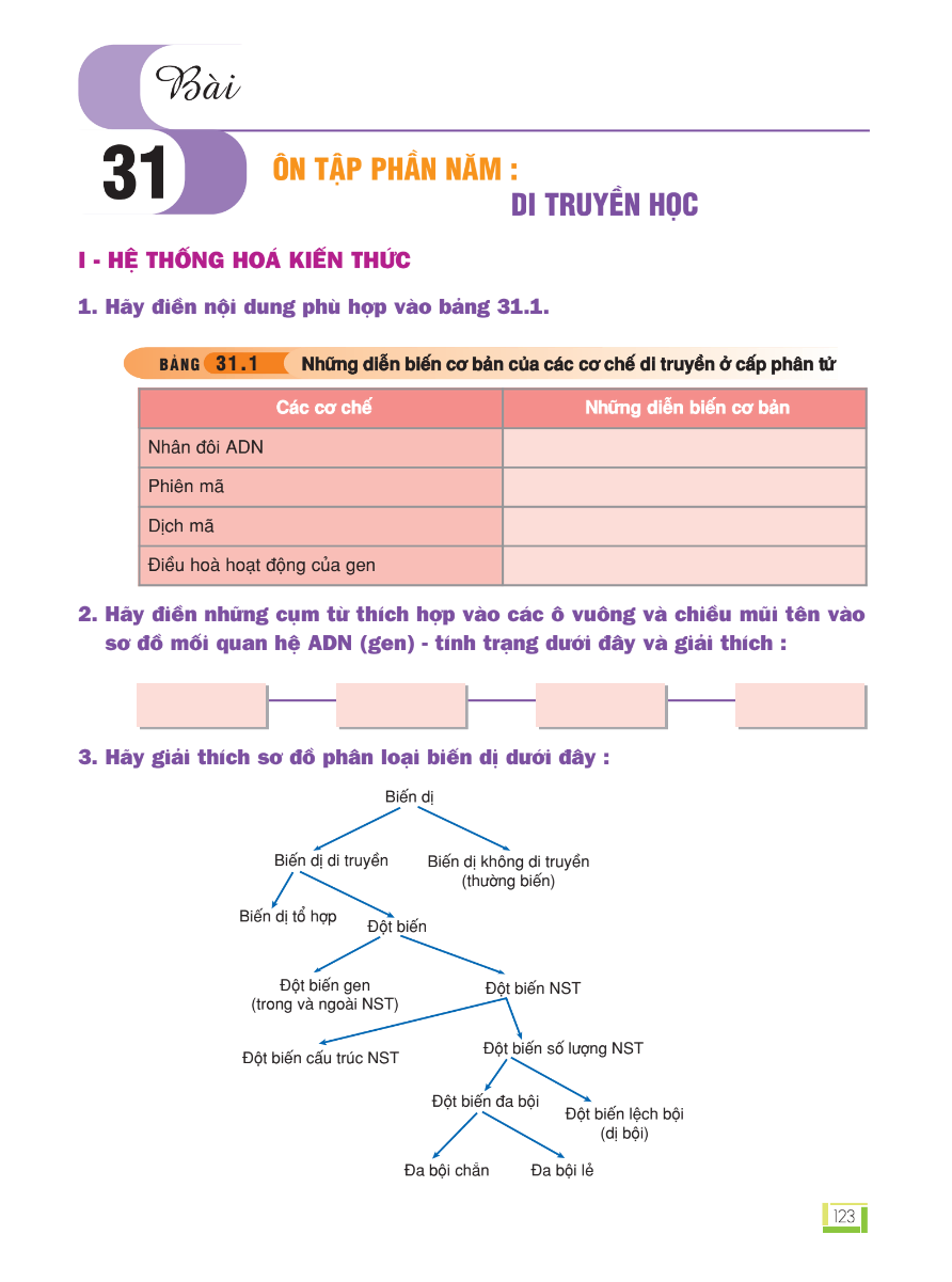 Bài 31: Ôn Tập Phần Năm: Di Truyền Học