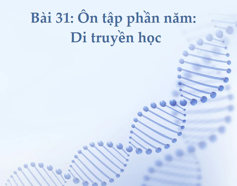 Bài 31: Ôn tập phần năm: Di truyền học