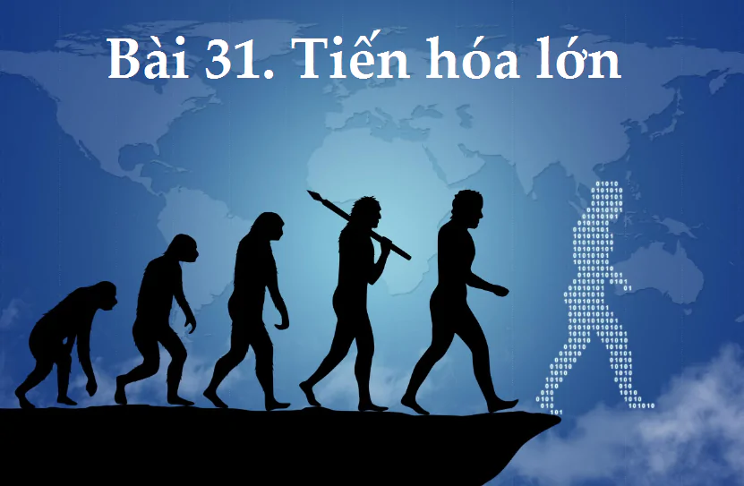 Bài 31. Tiến hóa lớn