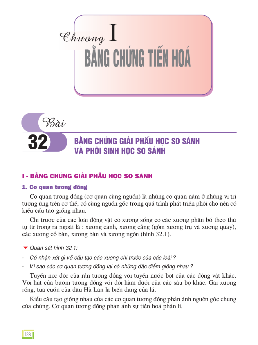 Bài 32: Bằng Chứng Giải Phẫu Học So Sánh Và Phôi Sinh Học So Sánh
