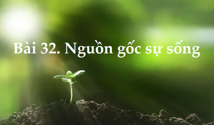 Bài 32. Nguồn gốc sự sống