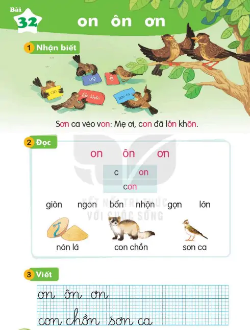 Bài 32: on ôn ơn
