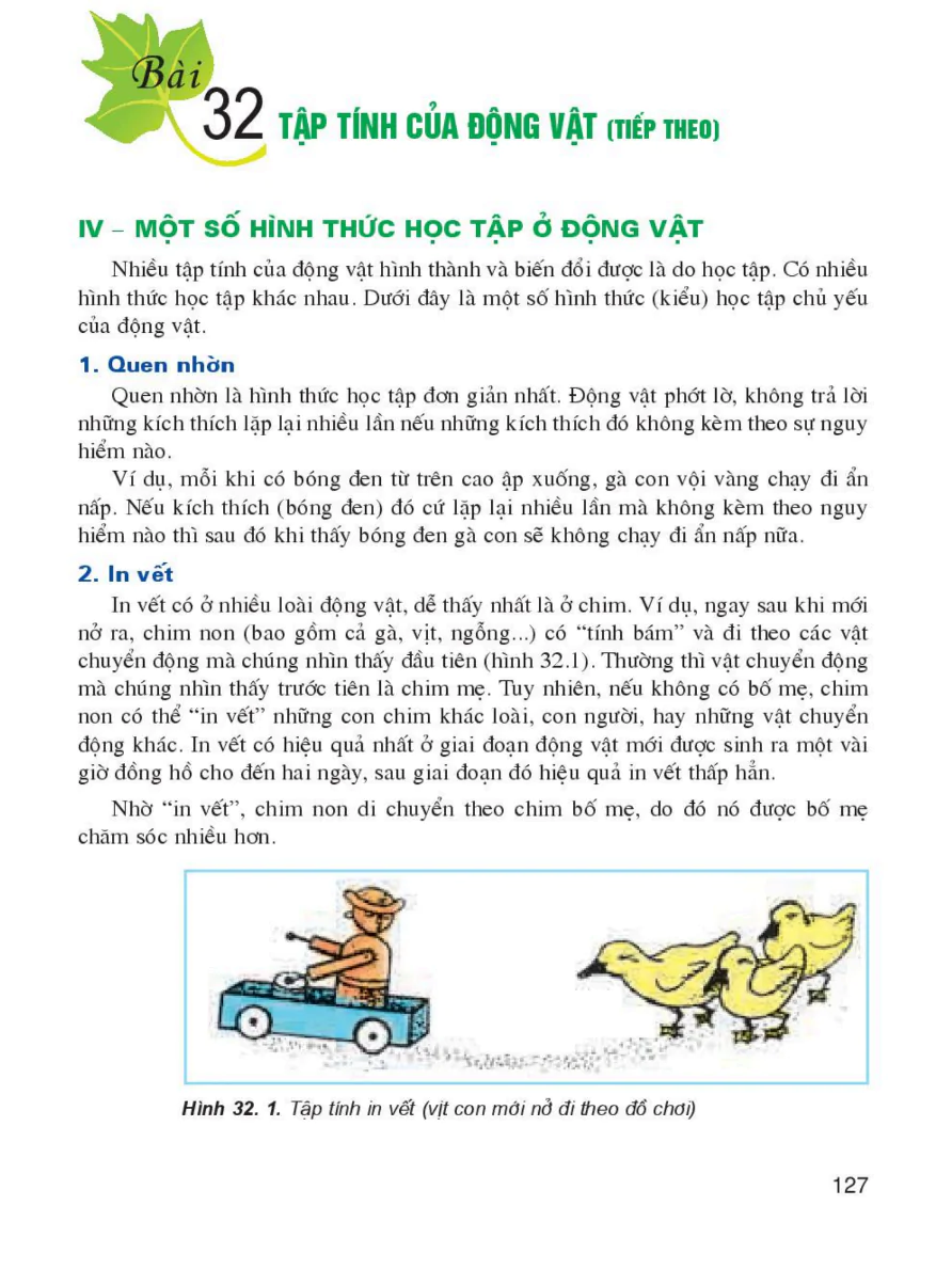 Bài 32: Tập Tính Của Động Vật (Tiếp theo)