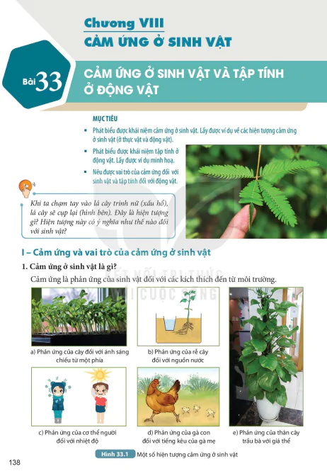 Bài 33: CẢM ỨNG Ở SINH VẬT VÀ TẬP TÍNH Ở ĐỘNG VẬT