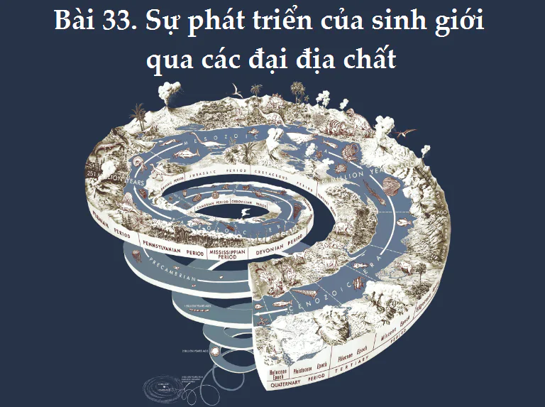 Bài 33. Sự phát triển của sinh giới qua các đại địa chất