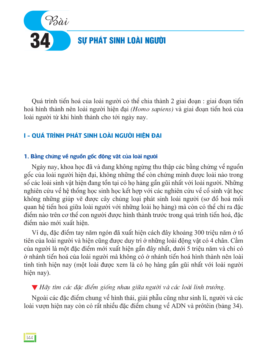 Bài 34: Sự Phát Sinh Loài Người