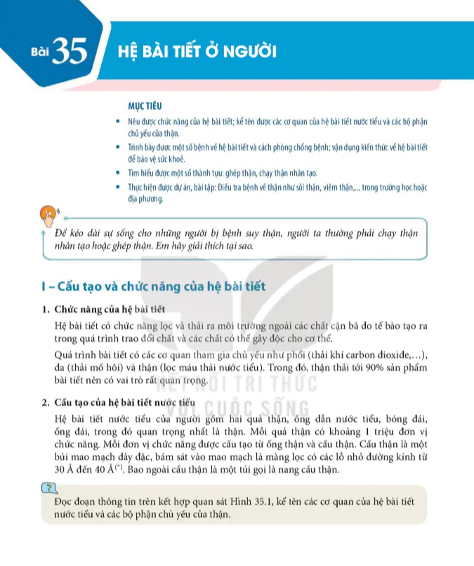 Bài 35 : Hệ bài tiết ở người