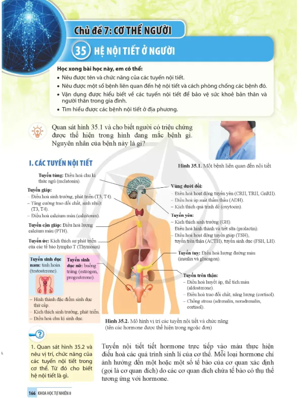 Bài 35: Hệ nội tiết ở người