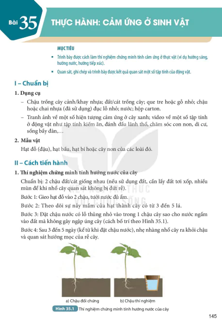 Bài 35: THỰC HÀNH: CẢM ỨNG Ở SINH VẬT