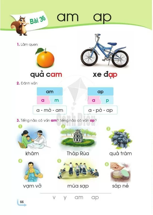 Bài 36: Am, ap