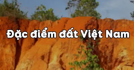 Bài 36: ĐẶC ĐIỂM ĐẤT VIỆT NAM