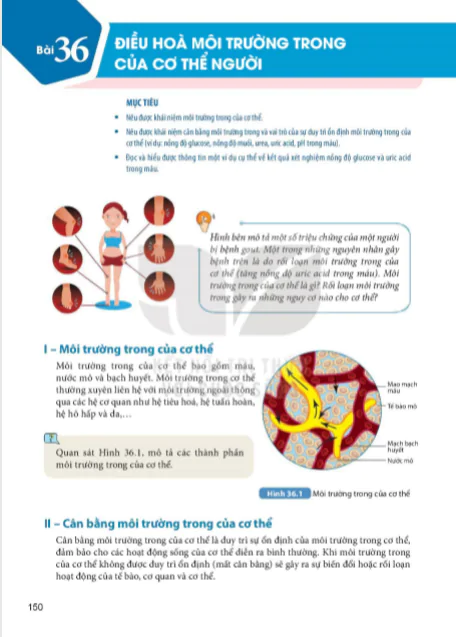 Bài 36 : Điều hoà môi trường trong của cơ thể người