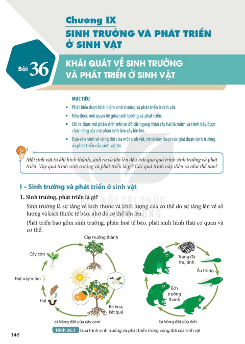 Bài 36: KHÁI QUÁT VỀ SINH TRƯỞNG VÀ PHÁT TRIỂN Ở SINH VẬT