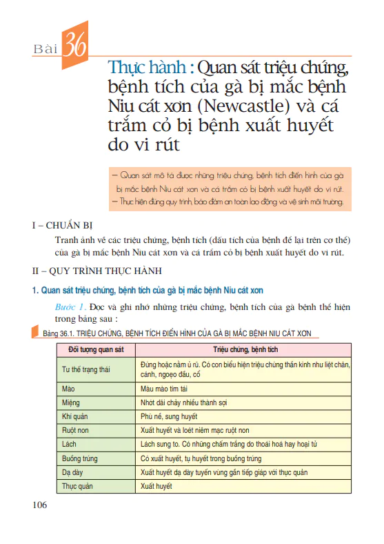 Bài 36: Thực hành: Quan sát triệu chứng, bệnh tích của gà bị mắc bệnh Niu cát xơn  và cá trắm cỏ bị bệnh xuất huyết do vi rút