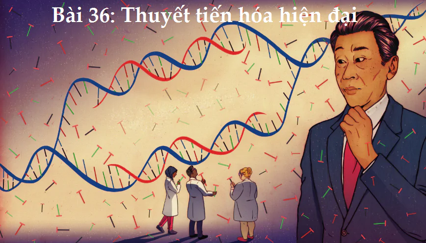 Bài 36: Thuyết tiến hóa hiện đại