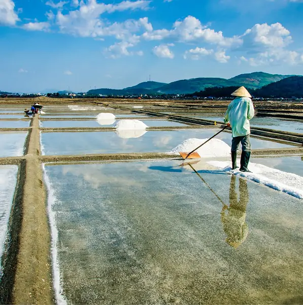 Bài 37. Dung dịch
