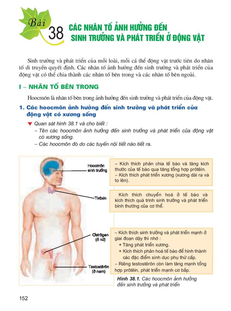 Bài 38: Các Nhân Tố Ảnh Hưởng Đến Sinh Trưởng Và Phát Triển Ở Động Vật
