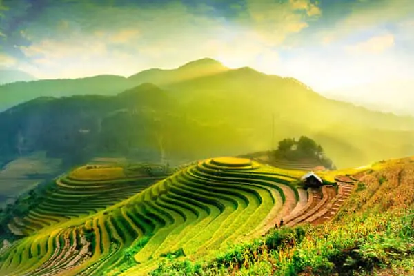 Bài 39. ĐẶC ĐIỂM CHUNG CỦA TỰ NHIÊN VIỆT NAM