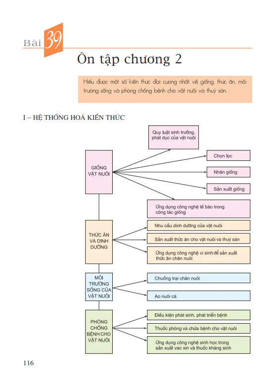 Bài 39: Ôn tập chương 2