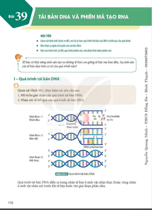 Bài 39 : Tái bản DNA và phiên mã tạo RNA