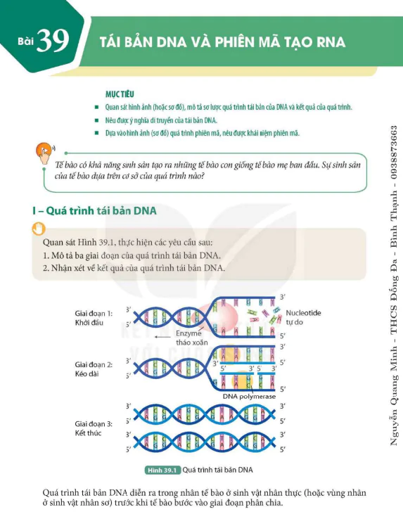 Bài 39. Tái bản DNA và phiên mã tạo RNA