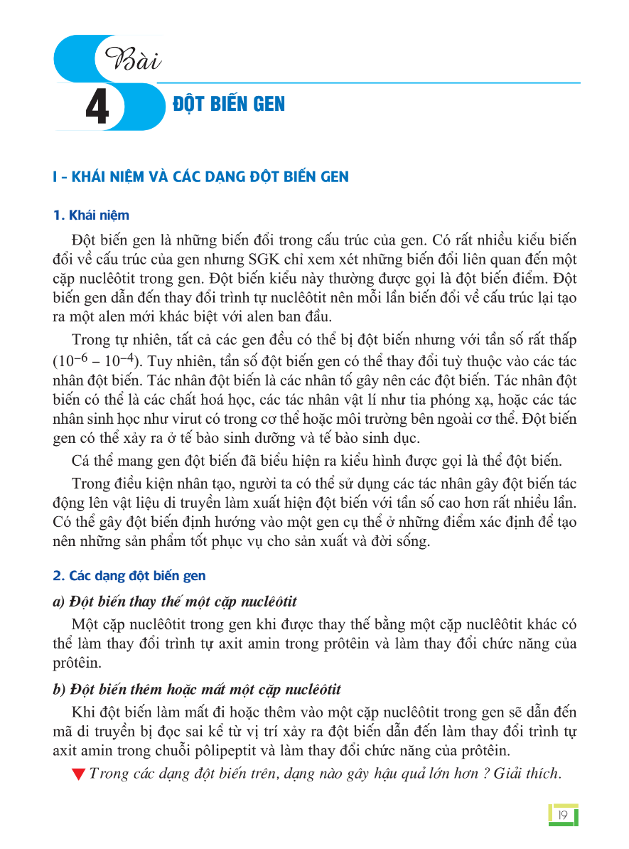 Bài 4: Đột Biến Gen