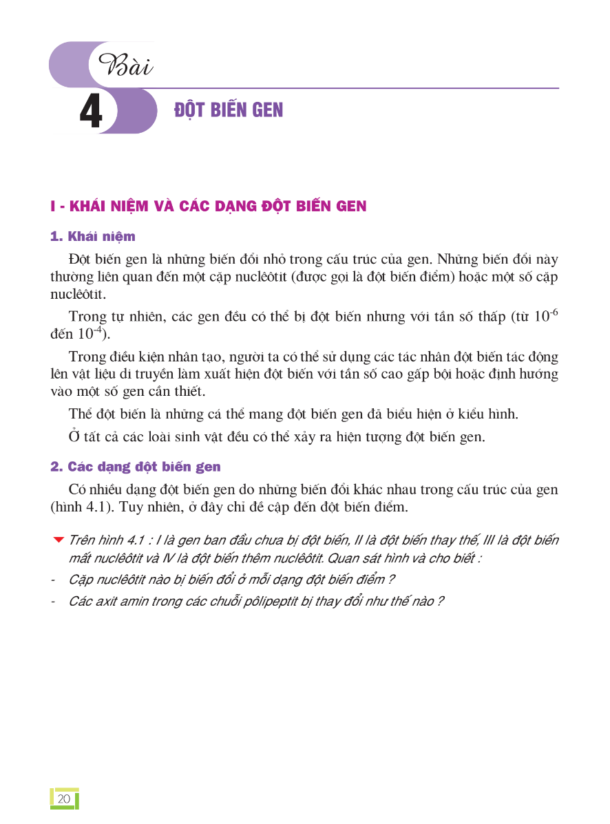 Bài 4: Đột Biến Gen