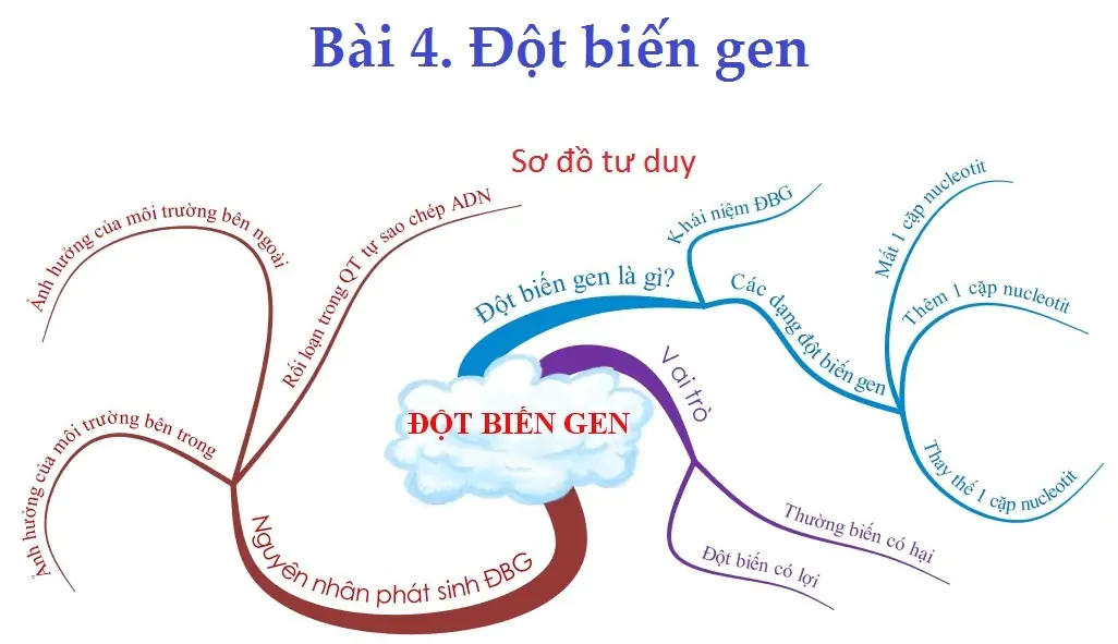 Bài 4: Đột biến gen
