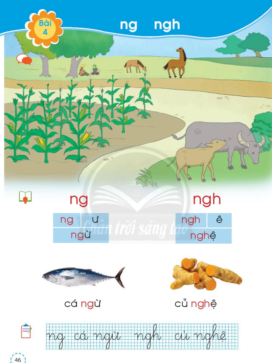 Bài 4: ng ngh