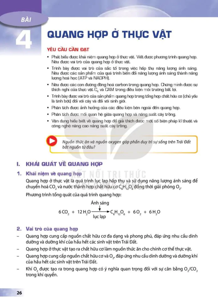 Bài 4: Quang hợp ở thực vật