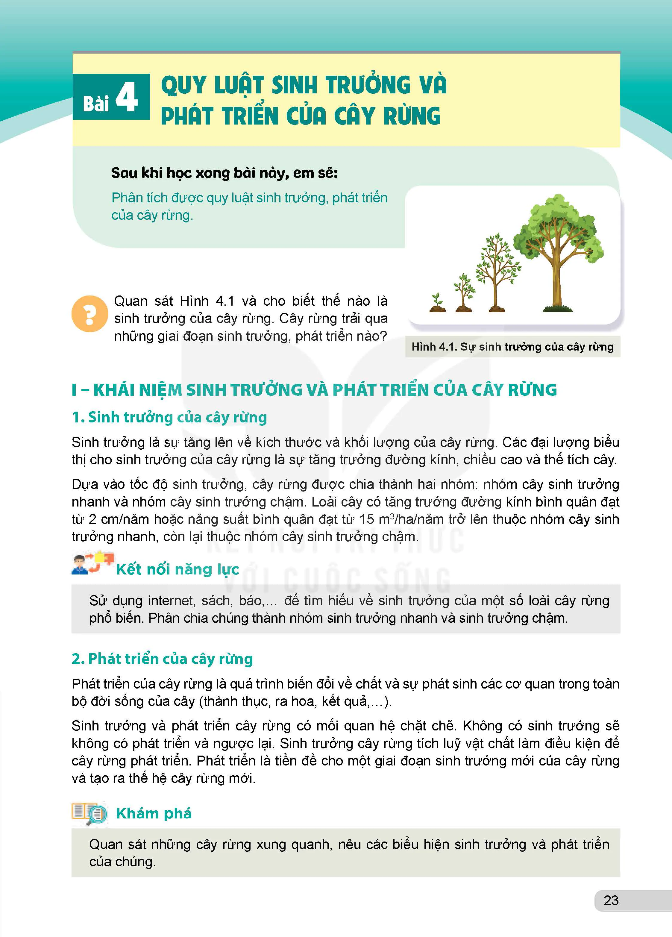 Bài 4: Quy luật sinh trưởng và phát triển của cây rừng 