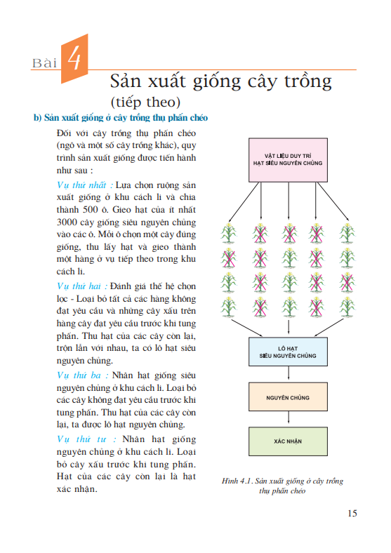 Bài 4: Sản xuất giống cây trồng( tiếp theo)