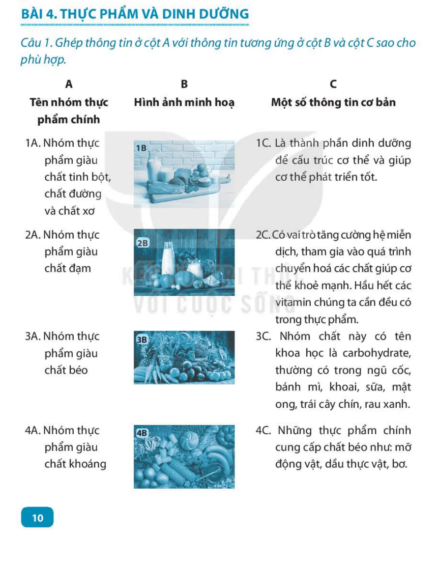 Bài 4: Thực Phẩm Và Dinh Dưỡng