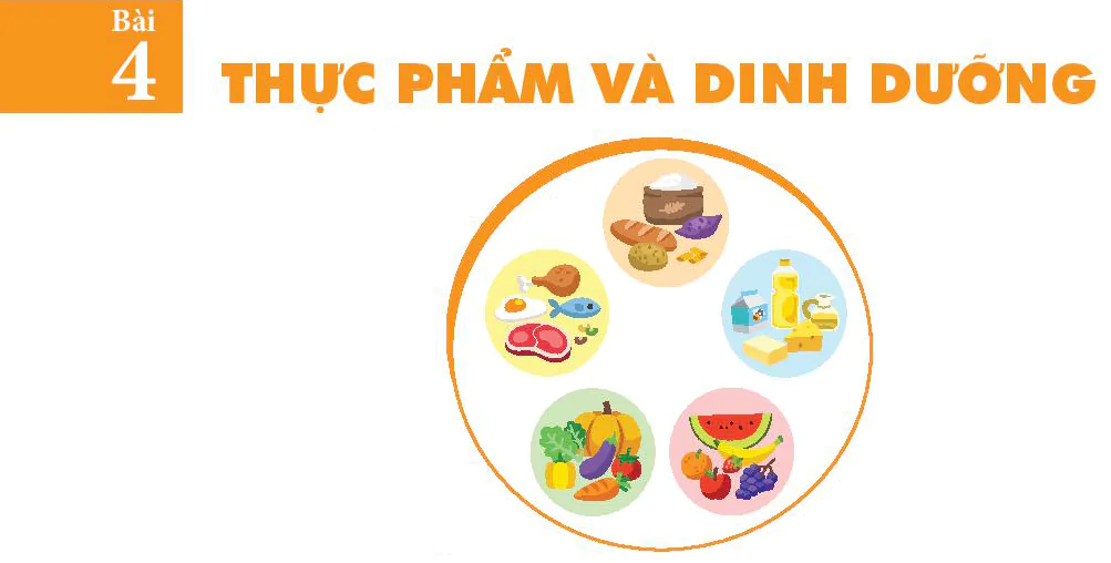 Bài 4: Thực phẩm và dinh dưỡng