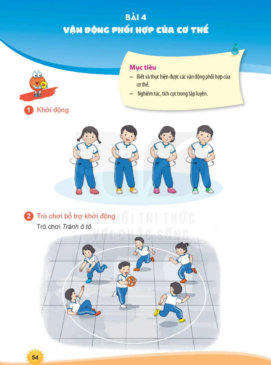 Bài 4: Vận Động Phối Hợp Của Cơ Thể