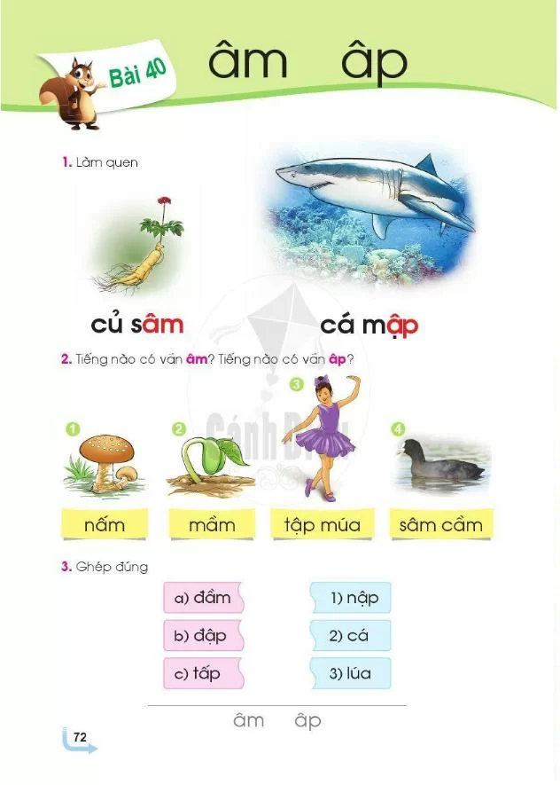 Bài 40: Âm, âp