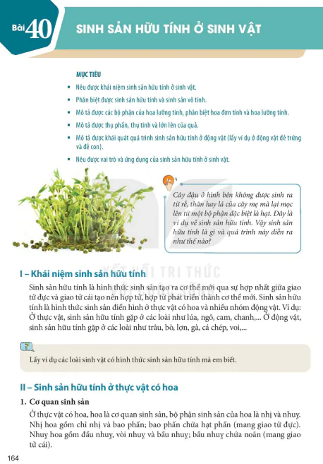 Bài 40: SINH SẢN HỮU TÍNH Ở SINH VẬT