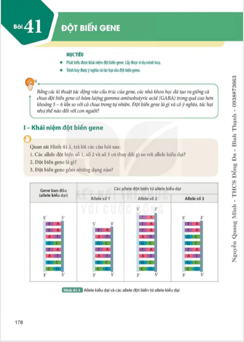 Bài 41 : Đột biến gene