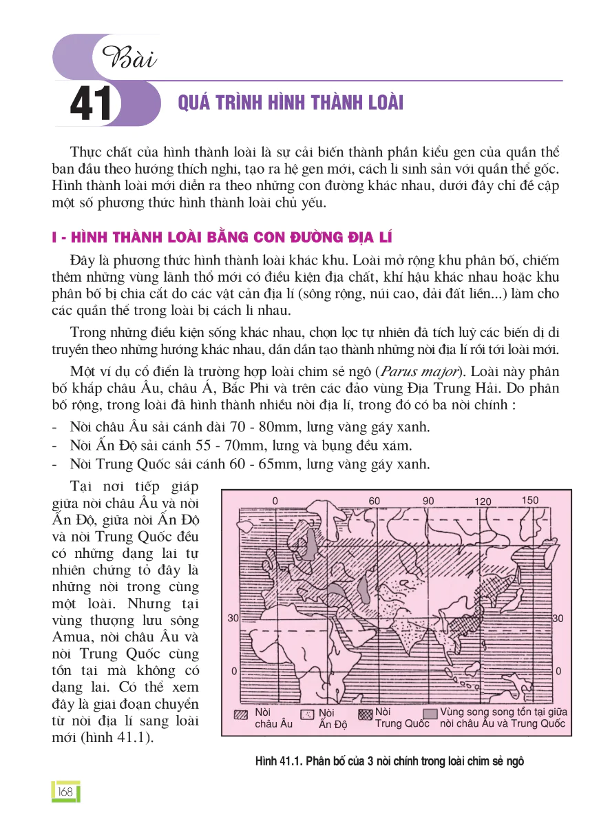 Bài 41: Quá Trình Hình Thành Loài