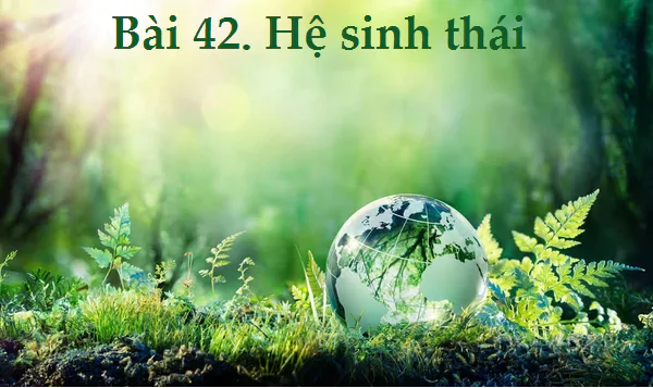Bài 42. Hệ sinh thái