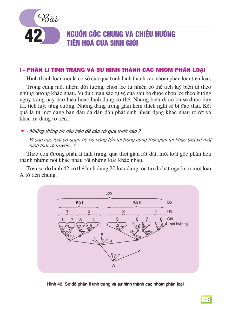Bài 42: Nguồn Gốc Chung Và Chiều Hướng Tiến Hóa Của Sinh Giới