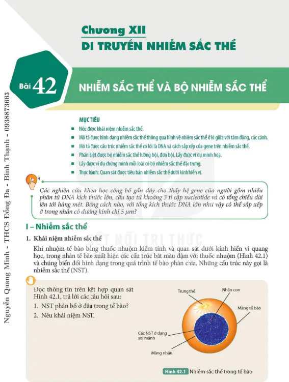 Bài 42. Nhiễm sắc thể và bộ nhiễm sắc thể