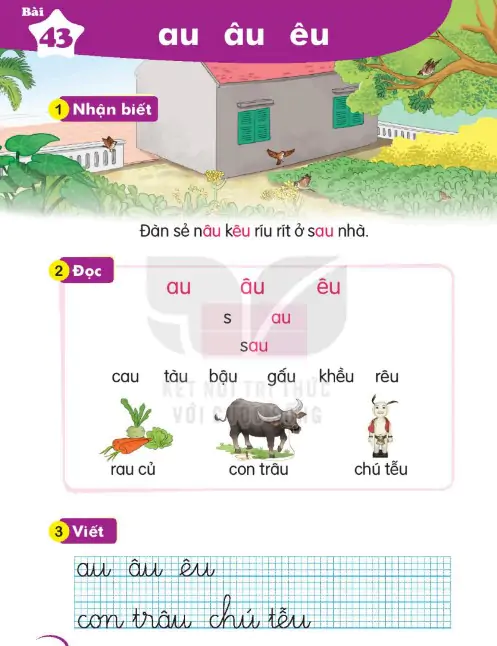 Bài 43: au âu êu
