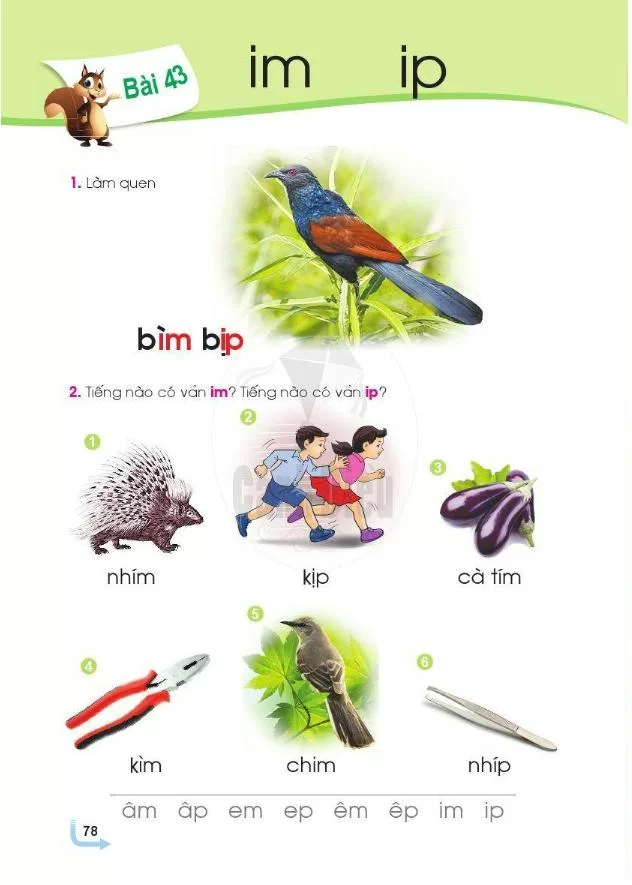Bài 43: Im, ip